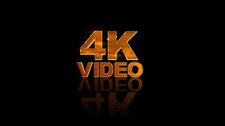 Create 5 Amazing 4k Videos Animated Logo Intro