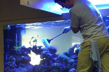 Fish Pond & Aquarium Cleaning Maintenance Service
