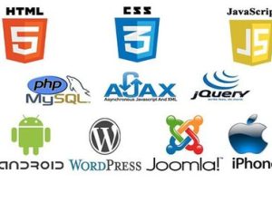 Fix any bug from PHP, javascript, CSS, HTML, wordpress