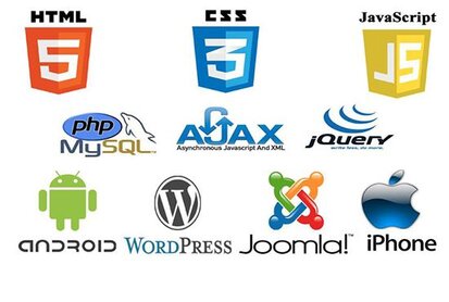 Fix any bug from PHP, javascript, CSS, HTML, wordpress