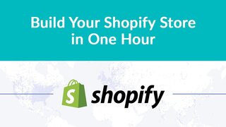Build Your Professional Dropshipping Shopify Store