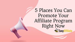 Manually promote your affiliate link with top exposure