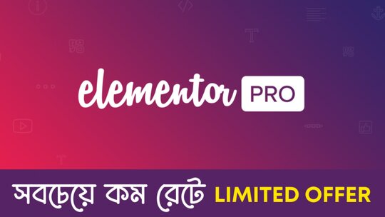 Elementor Pro Page Builder Plugin super low rate