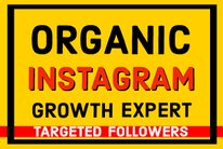 I will do instagram marketing for fast organic growth.