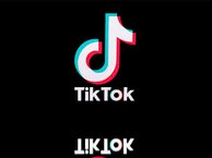 1 Lakh Tiktok view(Non drop)