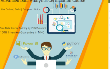 Deloitte Data Analyst Coaching in Delhi, 110001 , 100% Job, Update New Skill