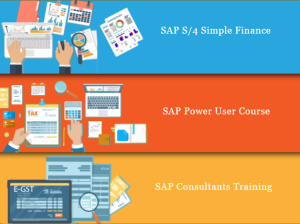 SAP Finance Certification in Laxmi Nagar, Delhi, BAT Training Classes in Noida