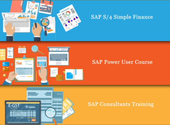 SAP Finance Certification in Laxmi Nagar, Delhi, BAT Training Classes in Noida